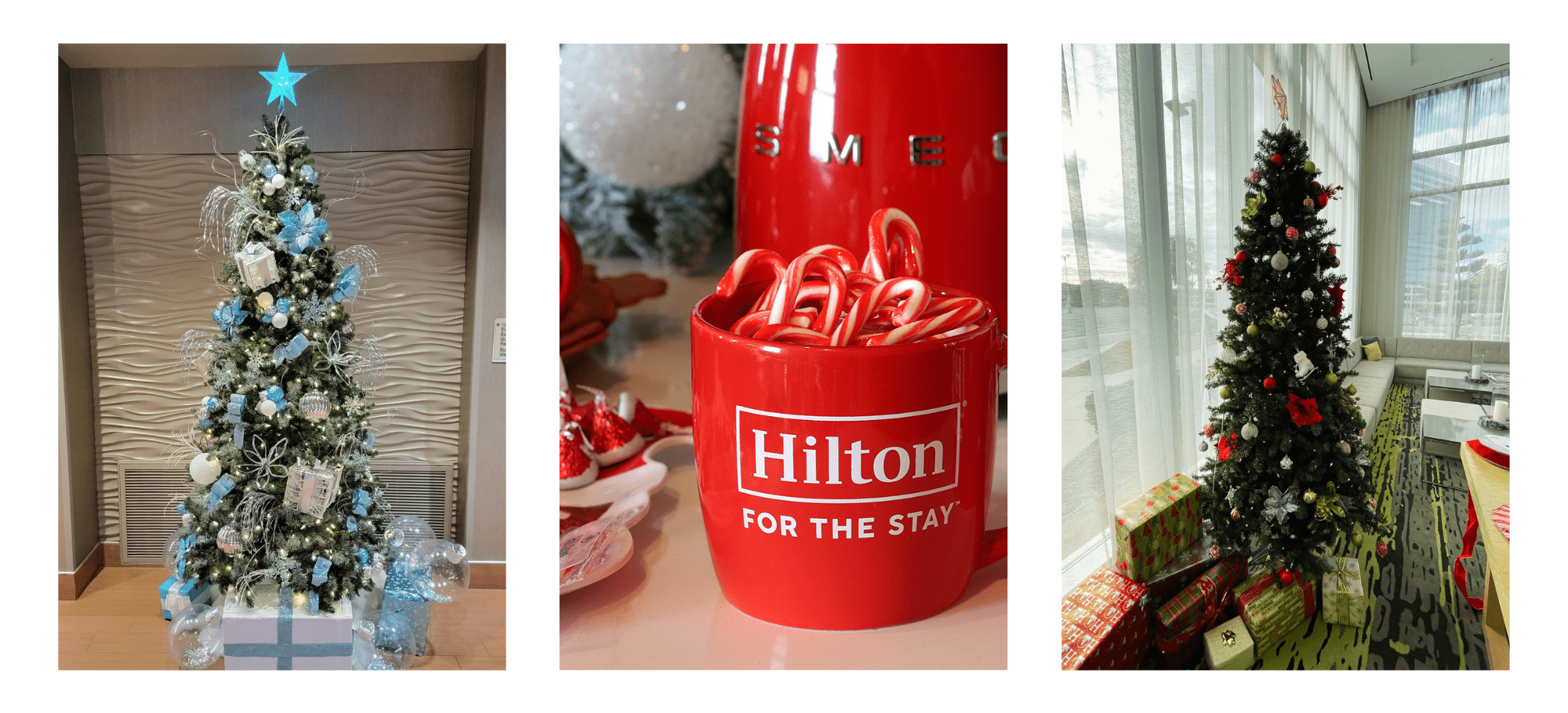 Christmas Tree in Hot Lobby and Mug with Candy Canes