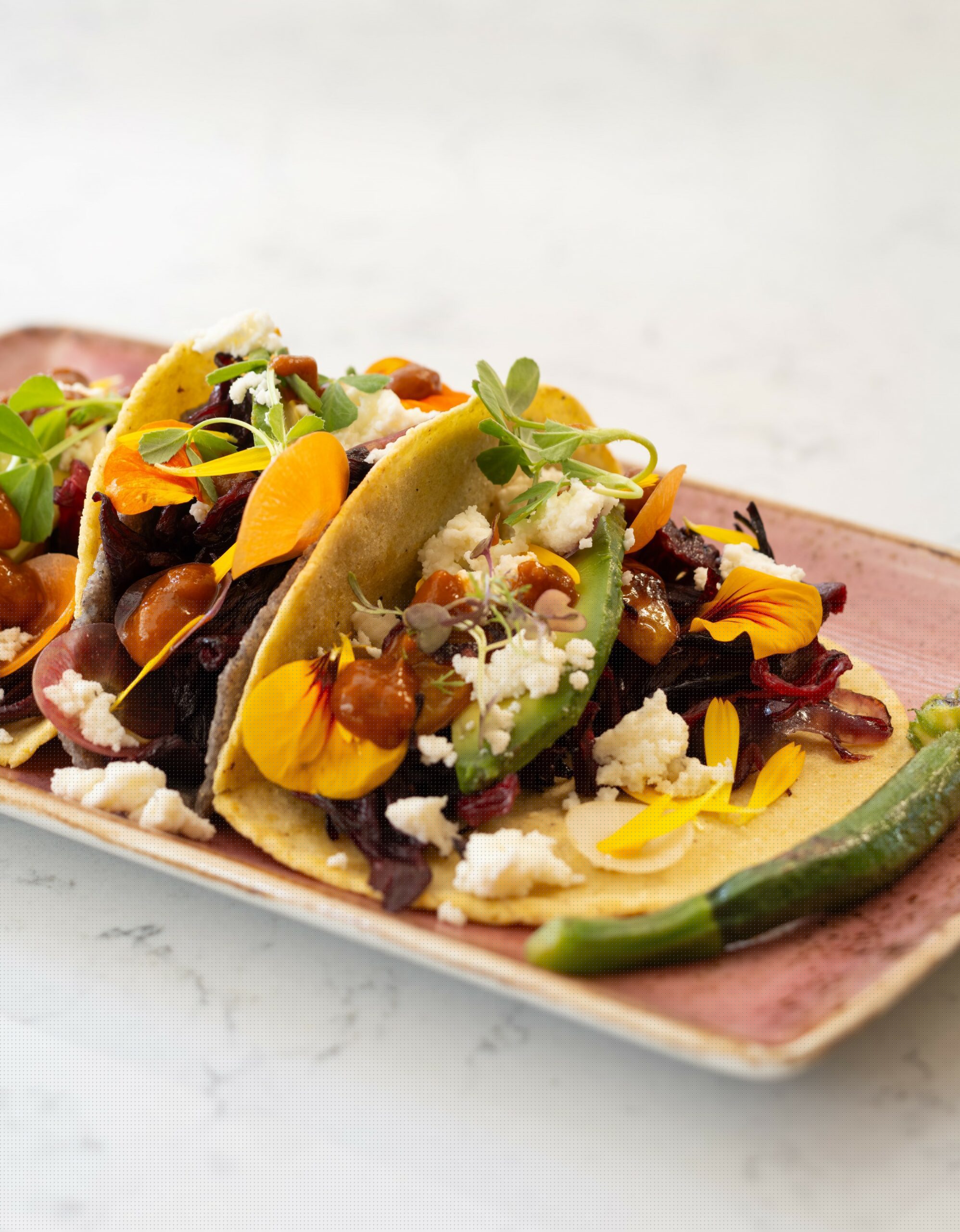 Vegan Hibiscus Tacos